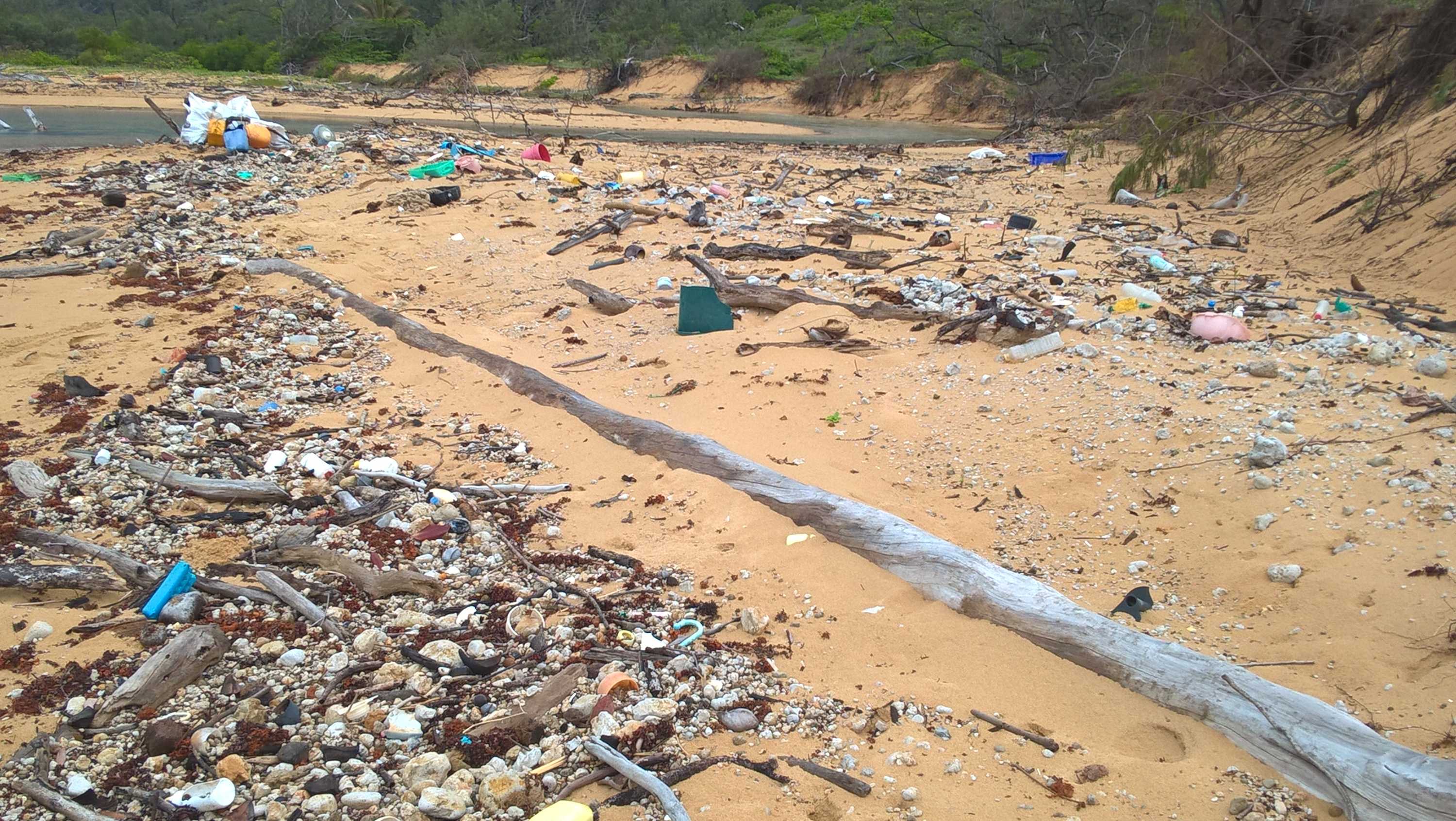 Vietnam veteran's one-man war on waste inspires community to clean up ...