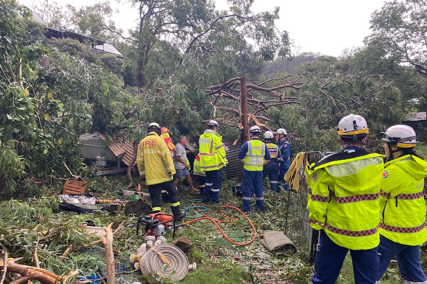 Emergency services work to access a caravan under a tree