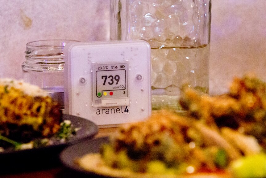 A square, white gadget with a screen reading 739 sits on a restaurant table behind two plates of food.