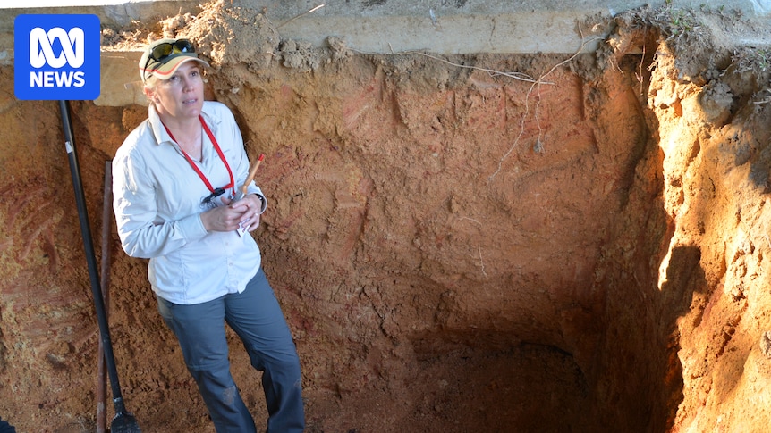 #39 Bone lady #39 who helped find Daniel Morcombe still unearthing stories of #39 Bone lady #39 who helped find Daniel Morcombe still unearthing stories of
