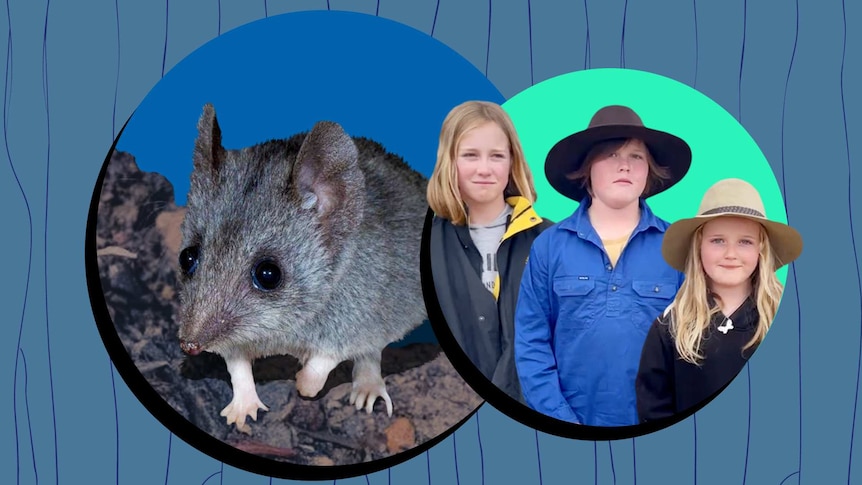 Three kids and a Kangaroo Island Dunnart.