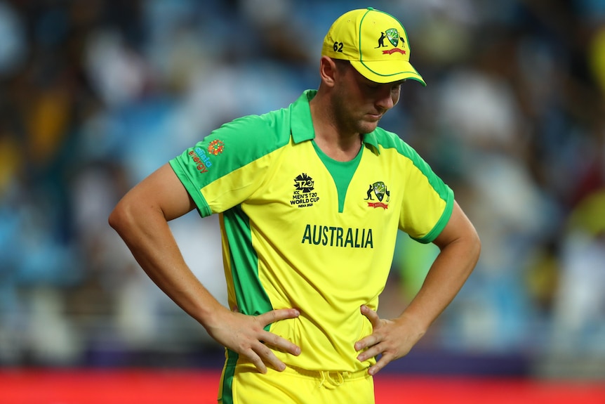 Josh Hazlewood stands with his hands on his hips.