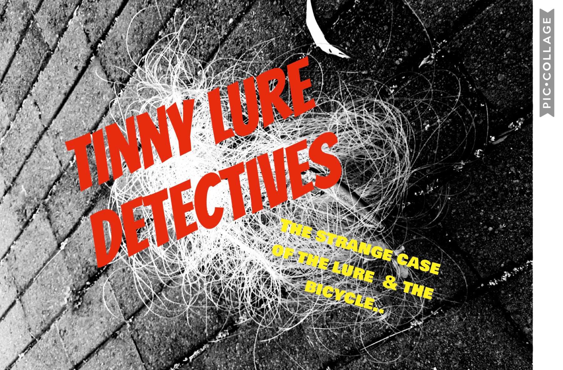 Tinny Lure Detectives: The strange case of the lure and the bicycle