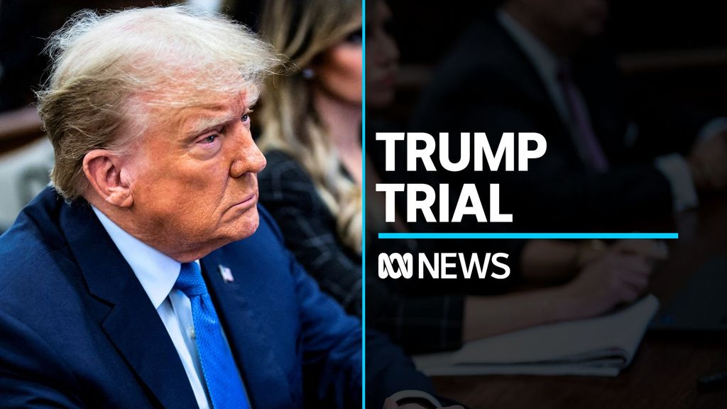Donald Trump gives evidence in civil fraud trial - ABC News