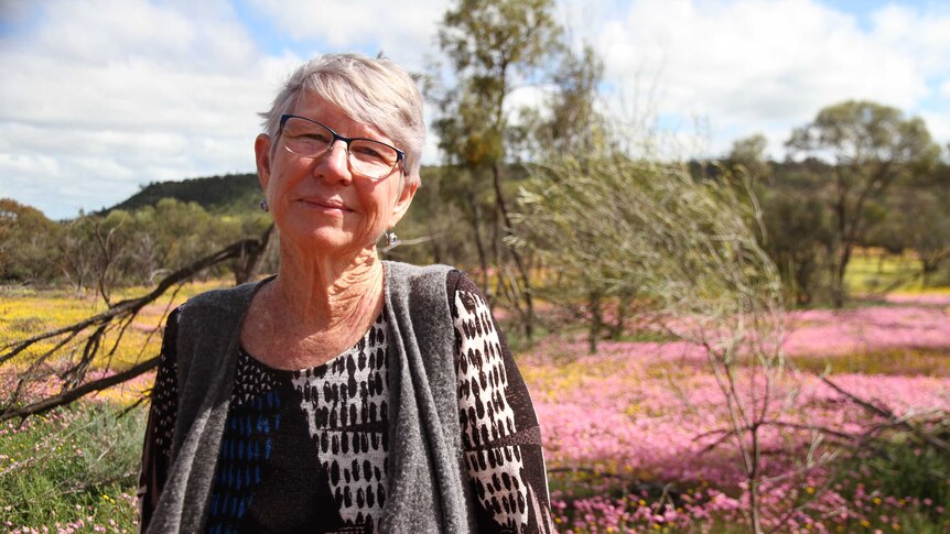 Wildflower enthusiast Glenda Blythe standing in front of yellow and pink wildflowers at Coalseam Conservation Park
