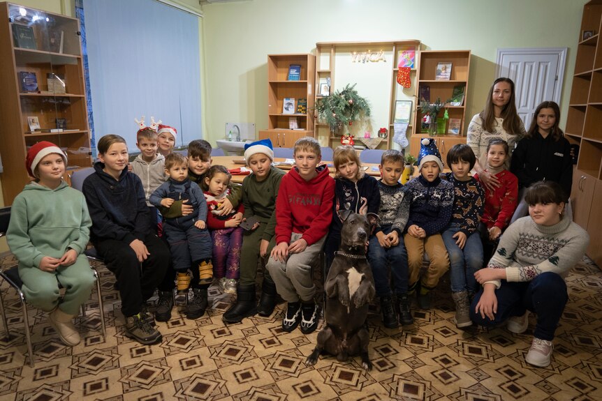 A group of children sitting in a row with a grey dog in the centre