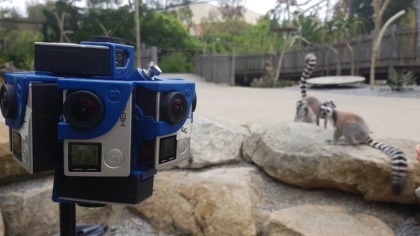 Capturing 360-degree video at Melbourne Zoo.