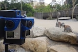 Capturing 360-degree video at Melbourne Zoo.
