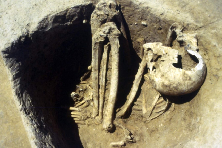 Ancient European skeleton