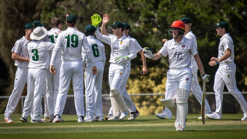 A group of cricketers celebrate on the field as a batter walks off