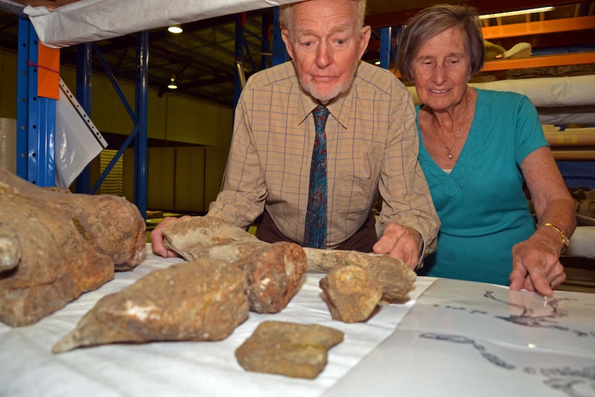 An older man and woman sit at a table and inspect dinosaur fossils