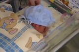 baby in neonatal unit, Tasmania, good generic