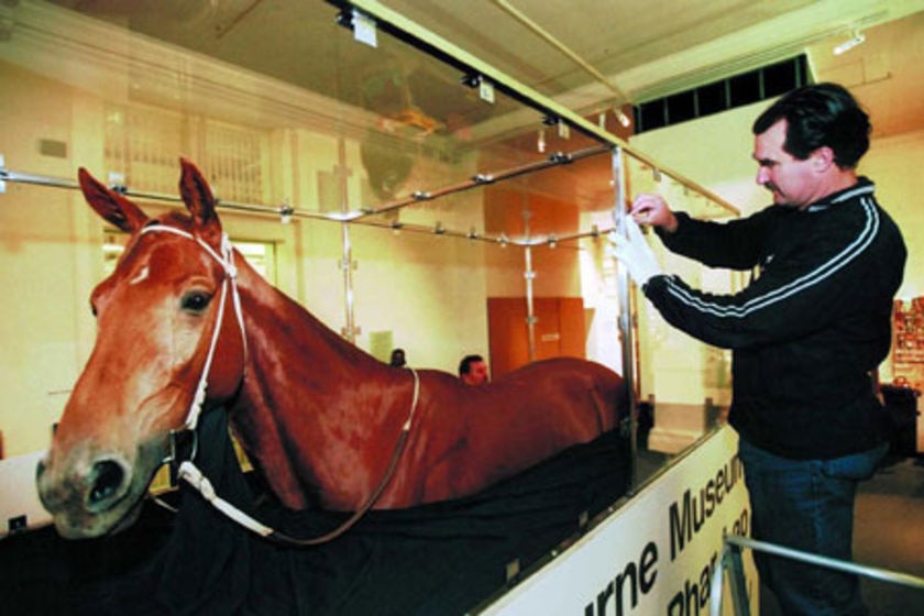 Race horse Phar Lap