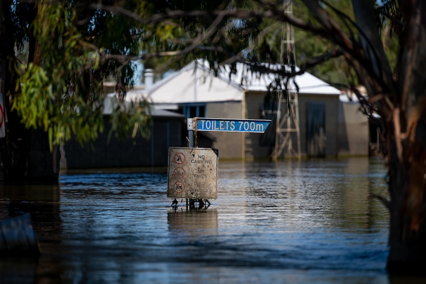 A partly-submerged sign reading 'Toilets' surrounded by water, with properties in the background