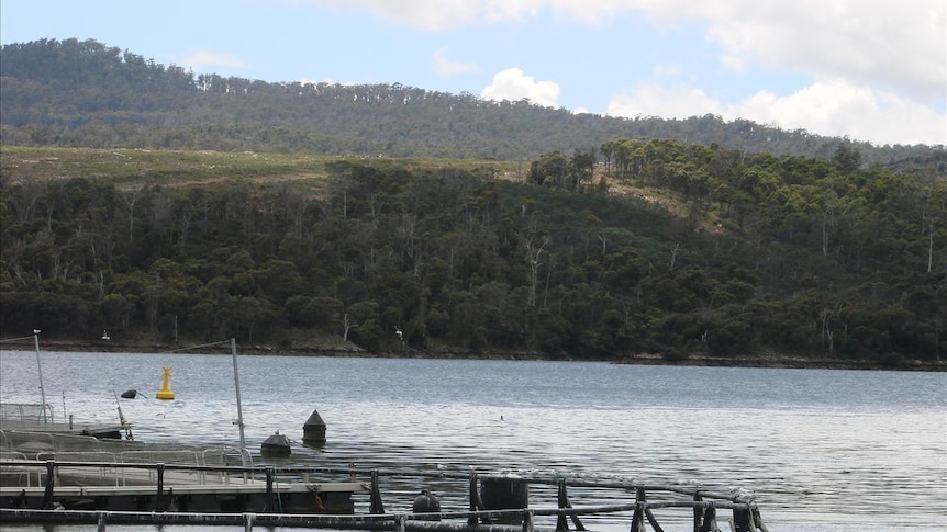 First Australian made fish oil - ABC News