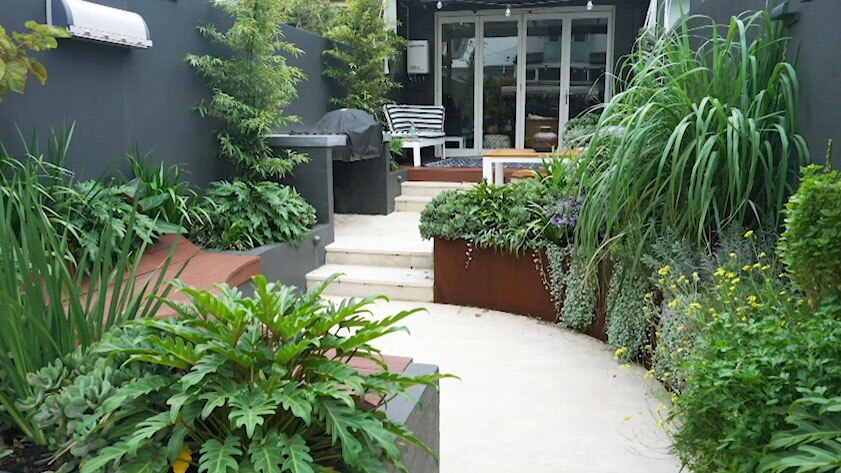 A courtyard garden with garden beds filled with green-leafed plants.