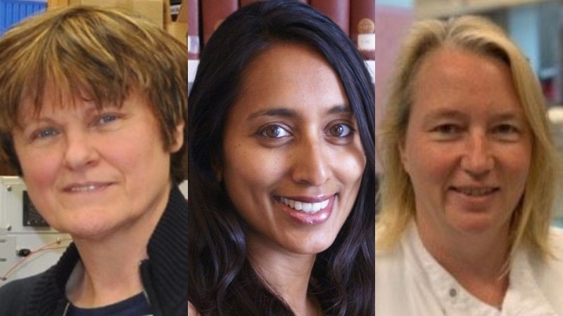 Composite image of Katalin Karikó, Maheshi Ramasamy and Catherine Green