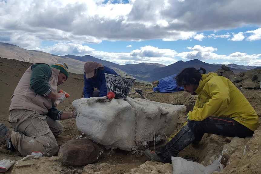 Los paleontólogos trabajan en el lugar donde se encontraron los huesos fosilizados de Stegouros elengassen