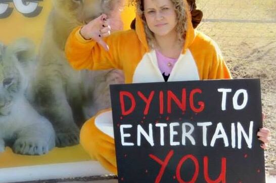 Angela Banovic showing a thumbs-down to the camera holding a sign with the words "dying to entertain you."
