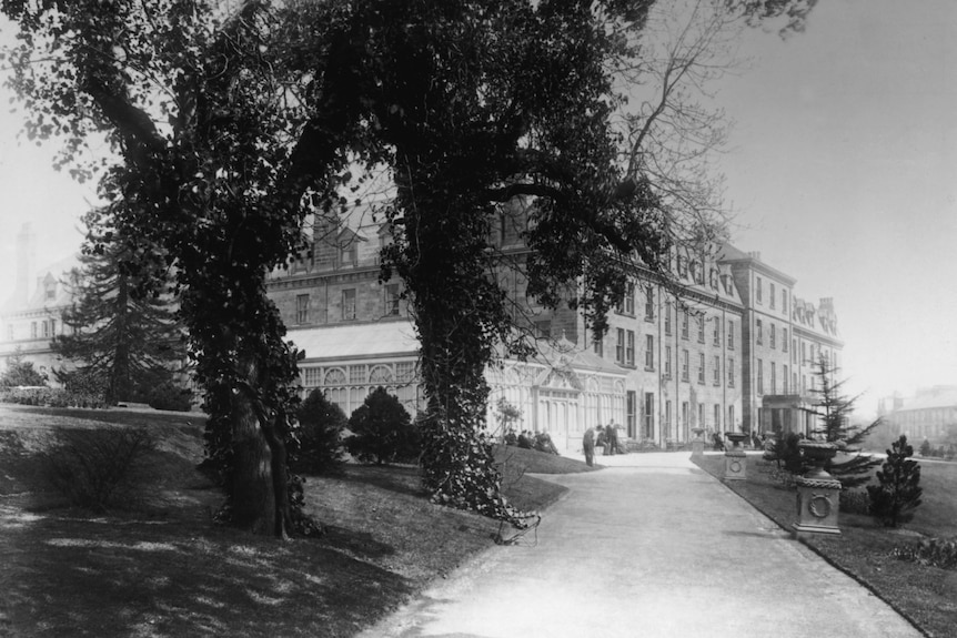 A black and white photo of a large building obscured by trees 