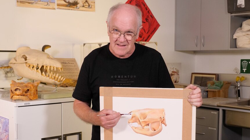 Peter Trusler holds up watercolour drawing of extinct megafauna skull