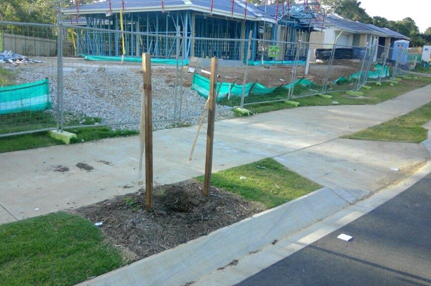 A hole in the ground where a tree used to be planted at a property estate under construction.