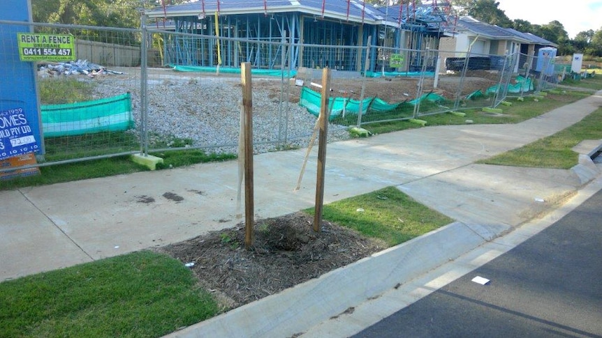 A hole in the ground where a tree used to be planted at a property estate under construction.