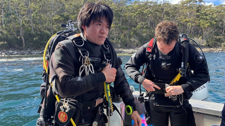 Two men standing in a boat in their diving gear getting ready to dive.