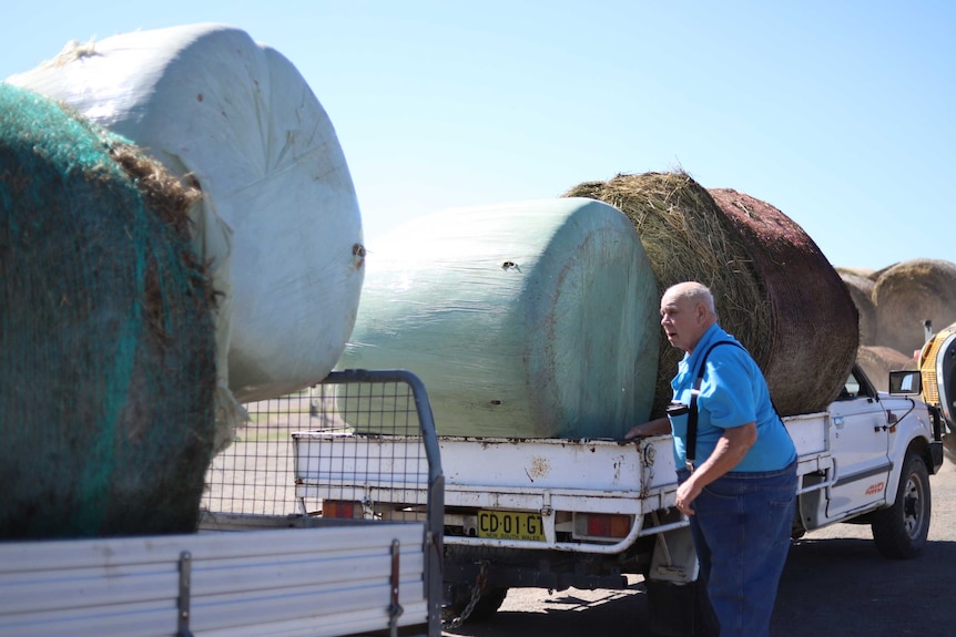 A farmer wearing a blue shirt and suspenders looks at utes full of hay bales in Goulburn.