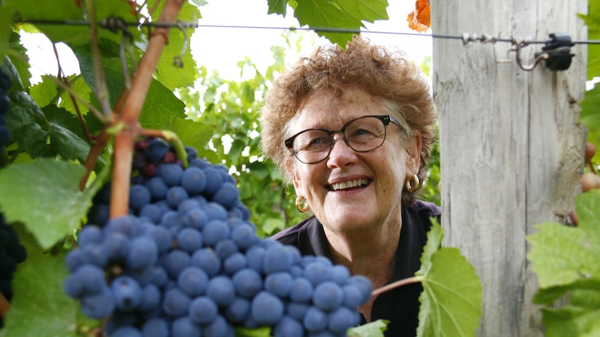 Anne Caine among the vines.