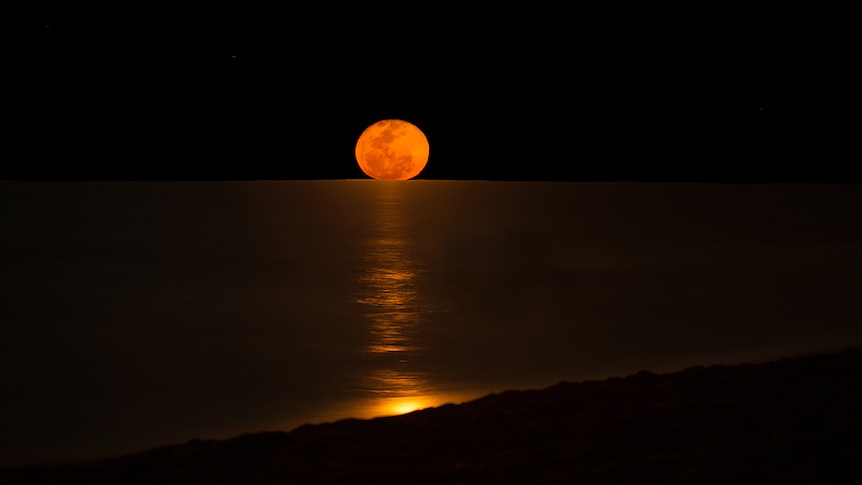 The super blood Moon rises over the ocean off the coast of Moore Park Beach in south east Queensland.