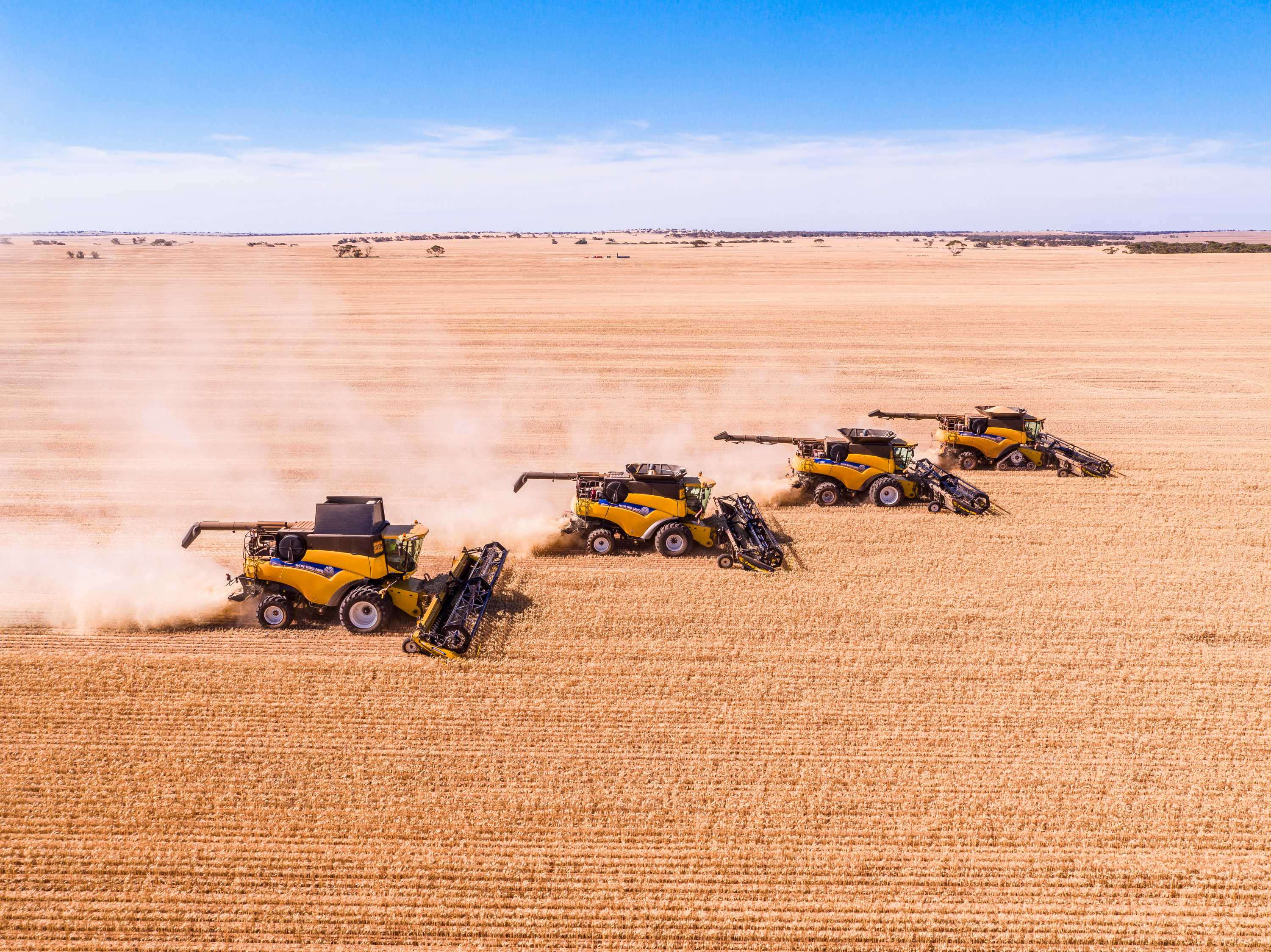 South Australian Farmers Enjoy Record Results After Long, Drawn-out ...