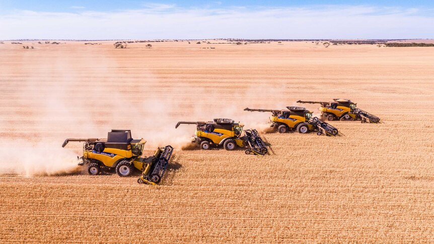 Südaustralische Landwirte erfreuen sich nach langer, langwieriger Ernte an Rekordergebnissen