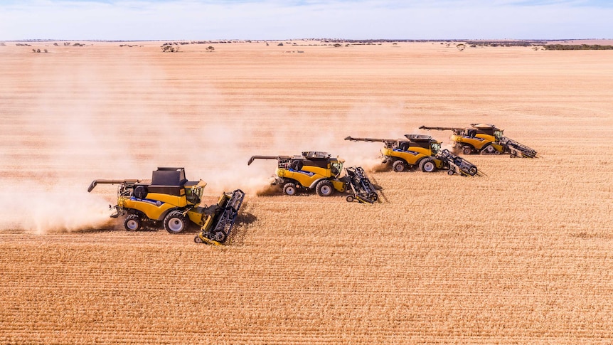 Four combine harvesters reaping a crop.