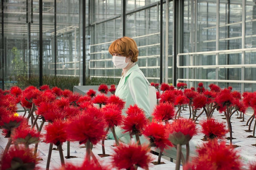 Woman with short red hair wearing white face mask and mint lab coat in a scientific greenhouse.