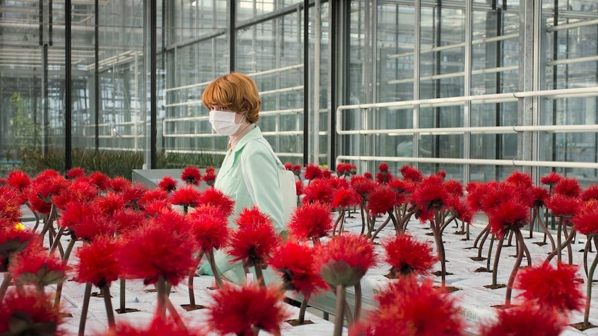 Woman with short red hair wearing white face mask and mint lab coat in a scientific greenhouse.