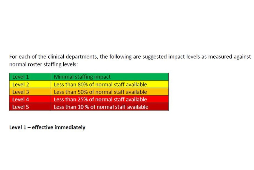 Screenshot of a multi-coloured graph detailing different levels of hospital staffing in a range of scenarios