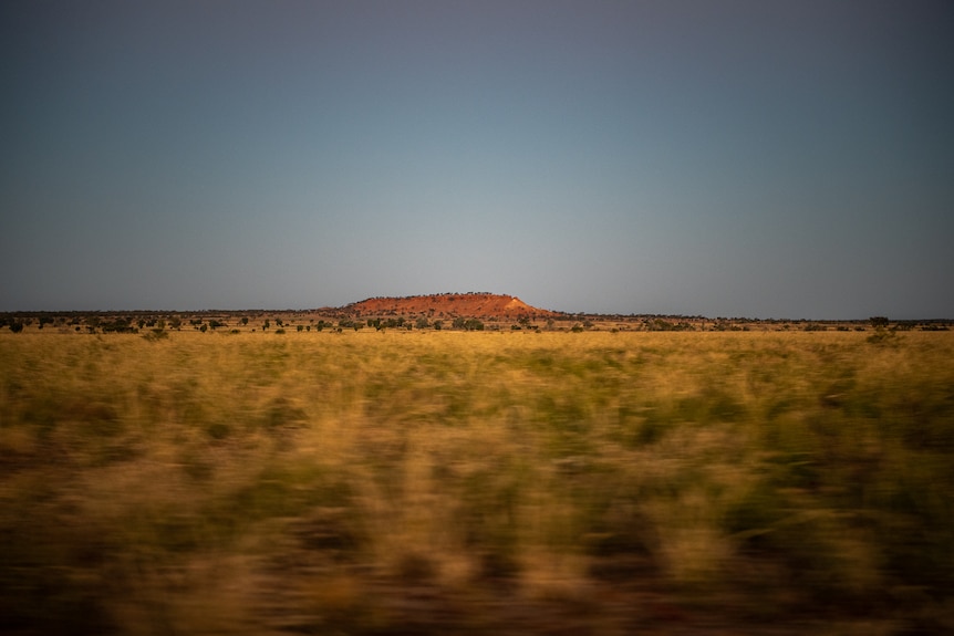 A small red mountain is seen in the distance, with arid grasses blurred in the foreground.