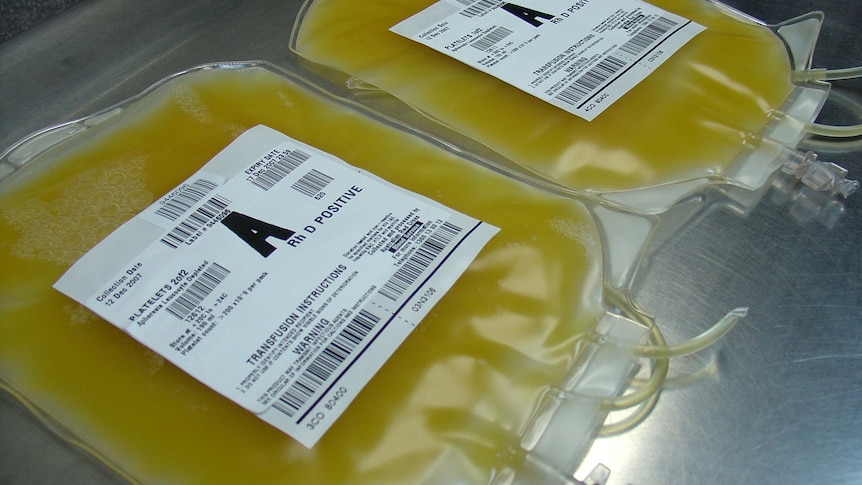 Bags of platelets