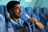 Luis Suarez cries while sitting alone on the bench