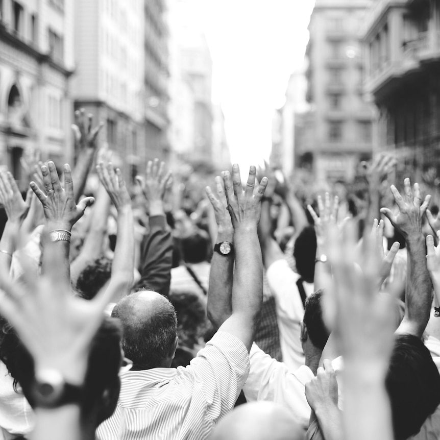 Black and white image shows a crowd standing with arms raised into the air and backs to the camera. 