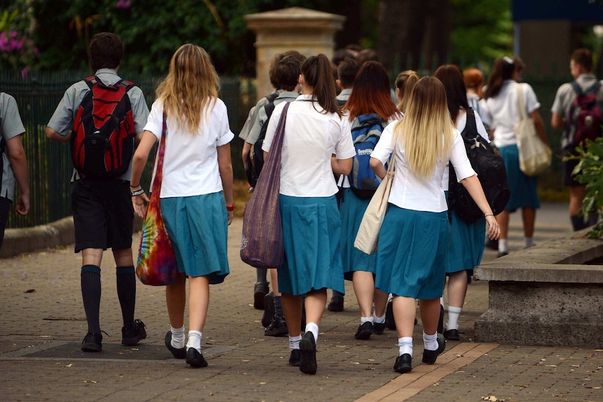 Private school girls walking in a group photographed from behind.