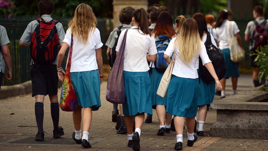 Private school girls walking in a group photographed from behind.