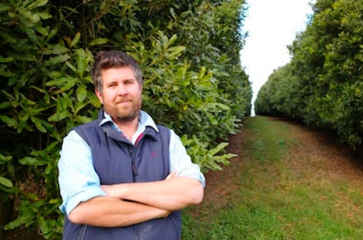 Macadamia farm manager Chris Cook standing in the Arapala orchard at Yarrahapinni on the mid-north coast NSW