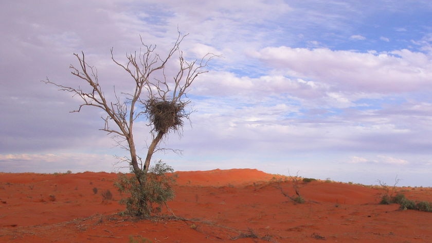 Simpson Desert: closure over extreme heat of summer