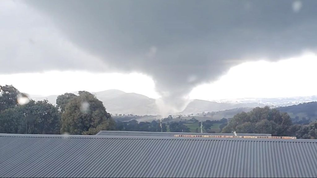 Dog that survived being sucked into tornado near Lithgow returns