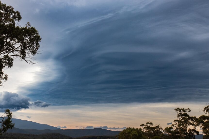 A dark sky with trees in the foreground.