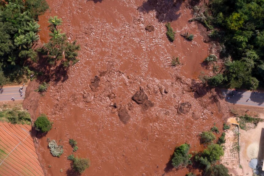 An aerial view shows brown sludge blocking a road and inundating green forest area.
