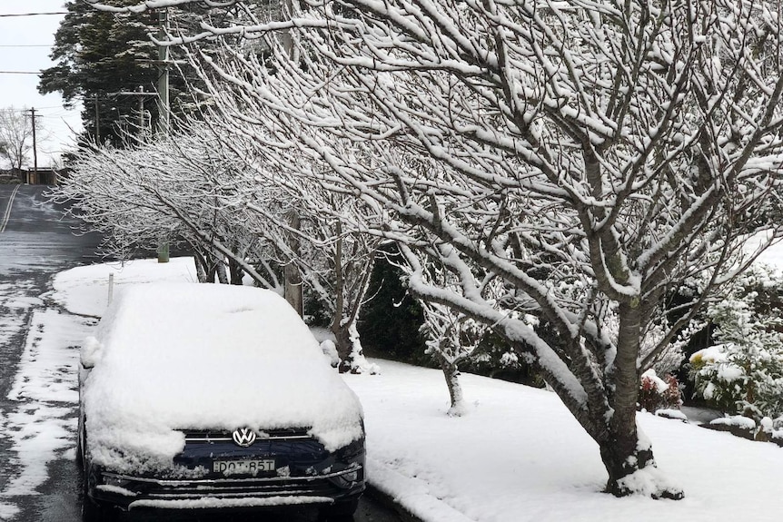 snow covers a car and trees on a road