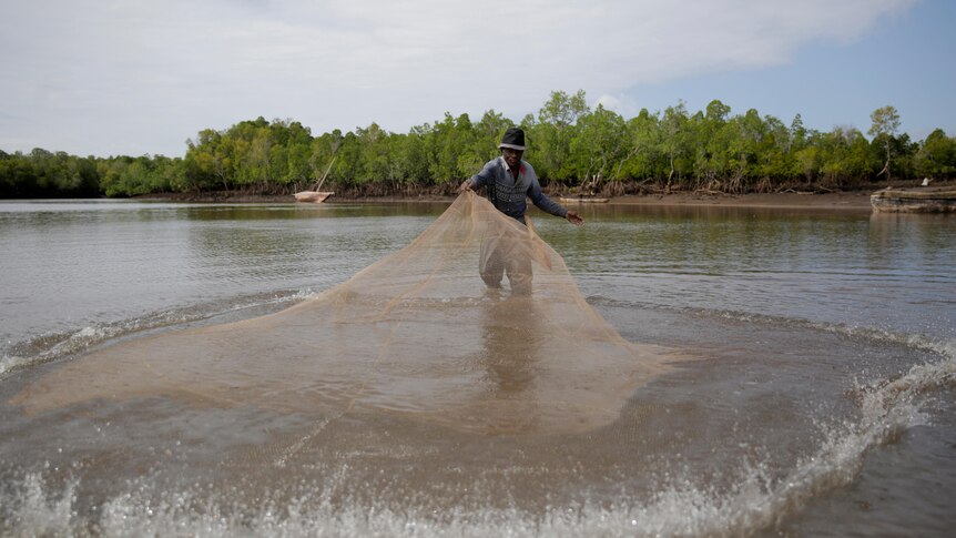 A man in a lake in front of mangroves pulling up a fishing net.